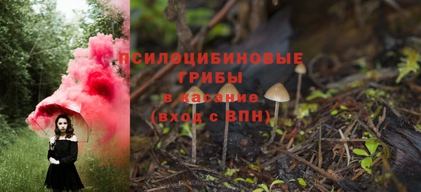 ПСИЛОЦИБИНОВЫЕ ГРИБЫ Балабаново