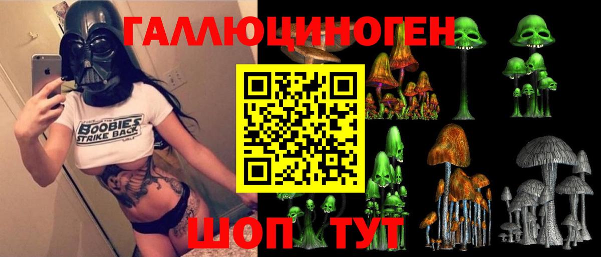 Галлюциногенные грибы Psilocybine cubensis Бугульма